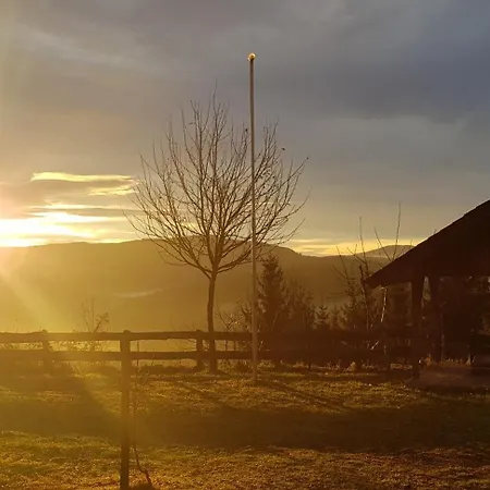 Ferienhaus Waldheimathütte