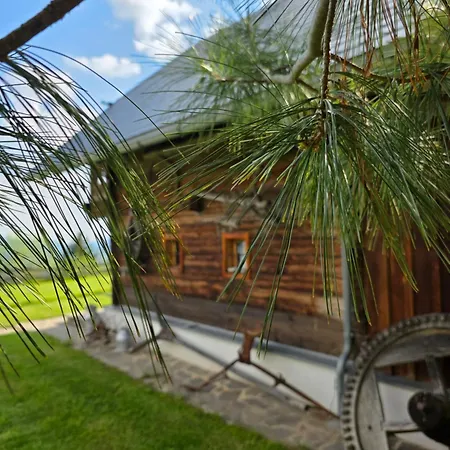 Ferienhaus Waldheimathütte *