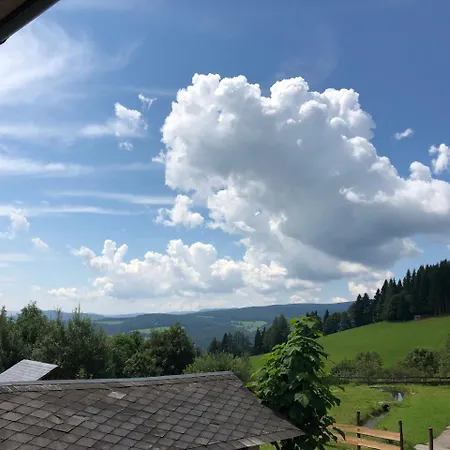 Waldheimathuette Tatil Evi