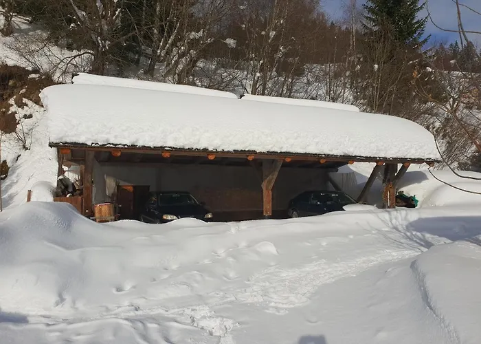 Waldheimathuette * Sankt Kathrein am Hauenstein