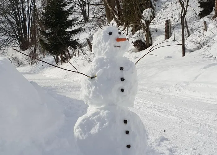 Waldheimathuette * ザンクト・カトライン・アム・ハウエンシュタイン