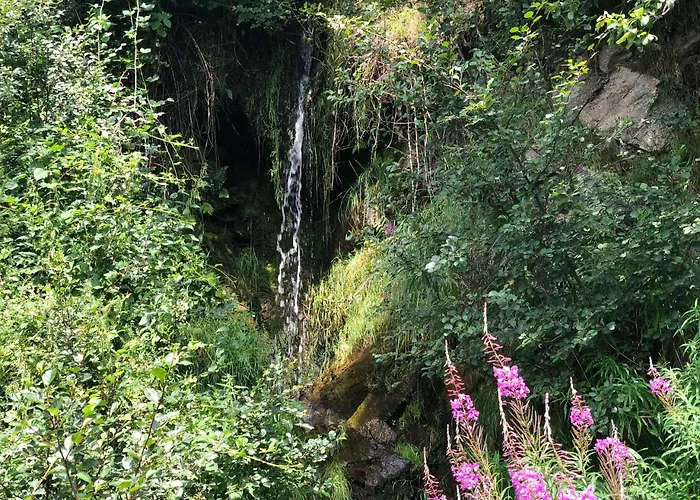 Waldheimathuette 펜션 *