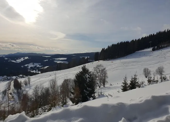 Waldheimathuette * Sankt Kathrein am Hauenstein