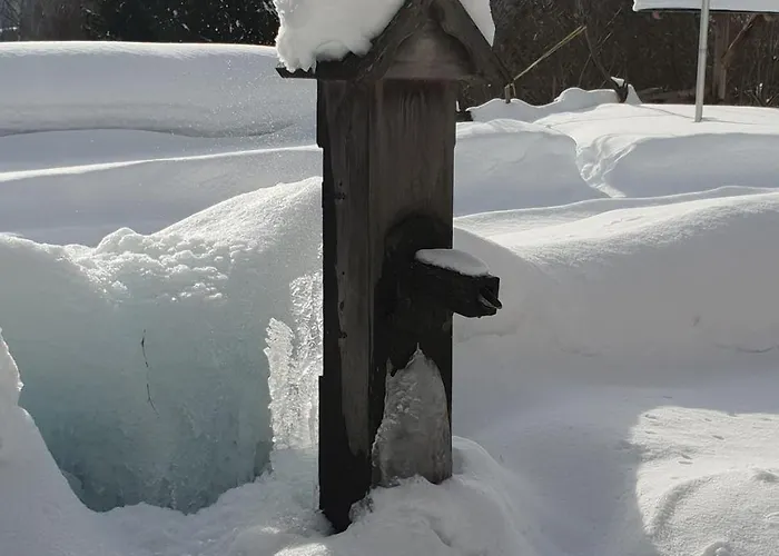 Waldheimathuette Sankt Kathrein am Hauenstein